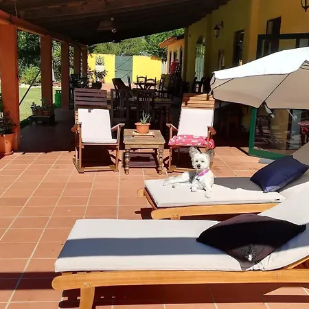 T0 Da Casa Da Quinta S Jose Chalet