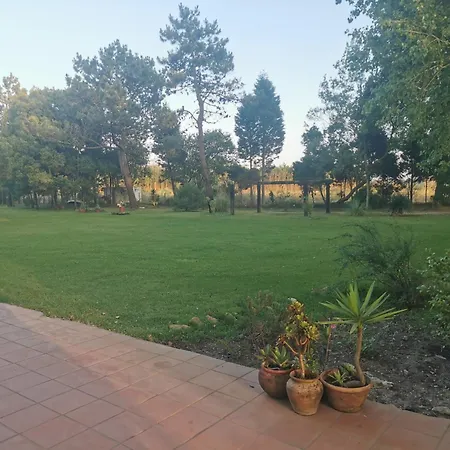 T0 Da Casa Da Quinta S Jose Chalet *