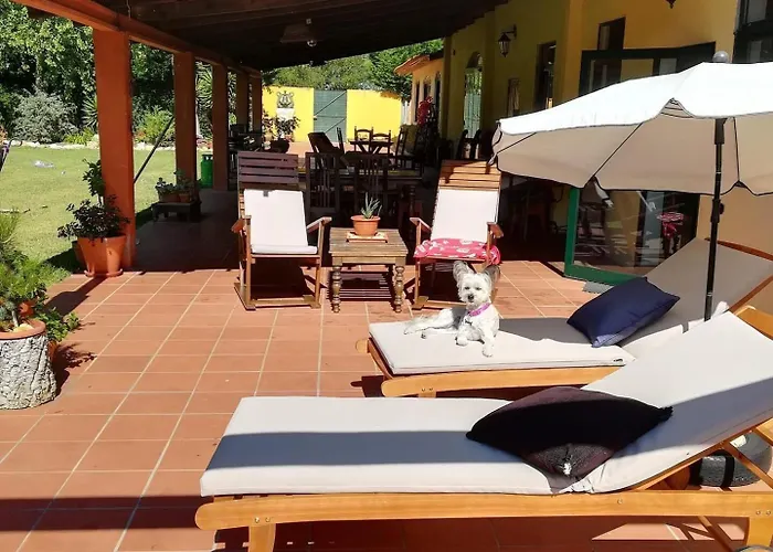 T0 Da Casa Da Quinta S Jose シャレー