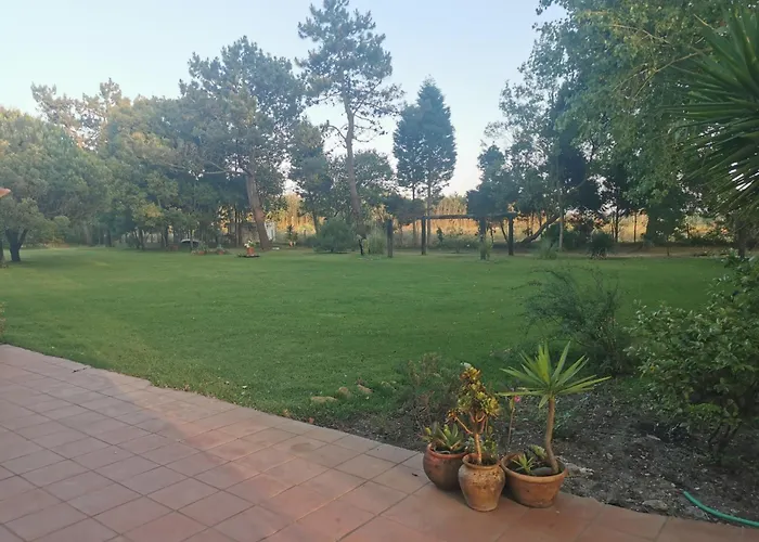 T0 Da Casa Da Quinta S Jose シャレー *